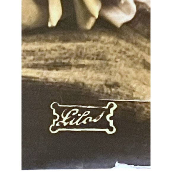 Antique French Postcard Roses Hand Colored Real Photograph Posted The Sower - Picture 6 of 9